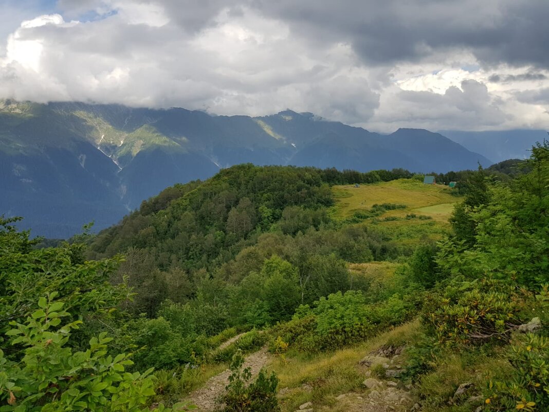 КРАСНАЯ ПОЛЯНА СОЧИ - Tata Wolf