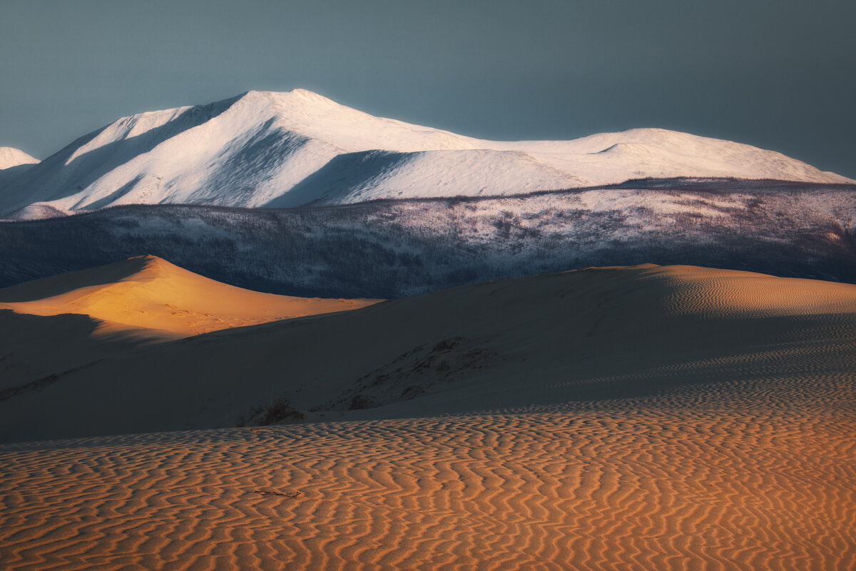 Контрасты - Дмитрий Шишкин