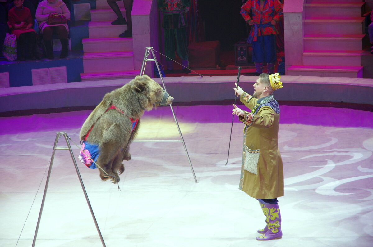 Цирк. - Alex 711402