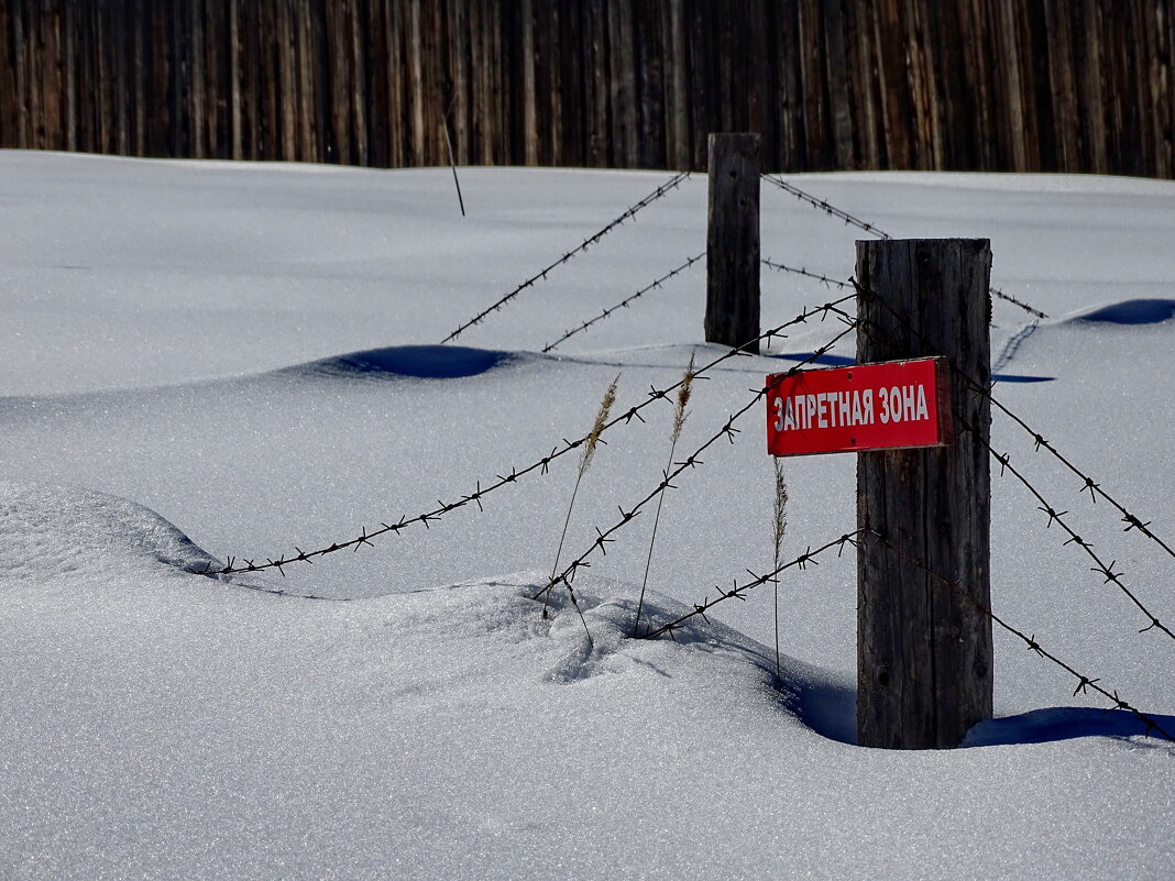 Музей-заповедник «Трехречье» - Павел Трунцев Музей-заповедник «Трехречье» - Павел Трунцев