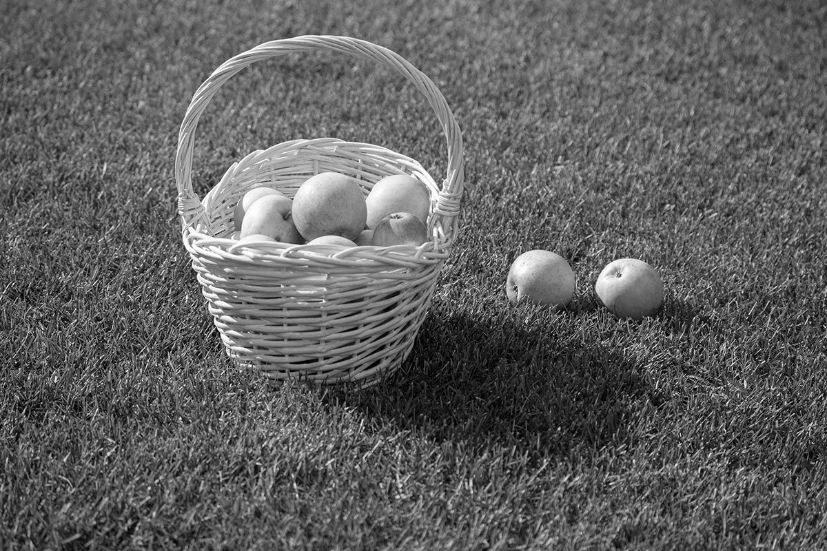 Корзинка с яблоками - Александр Трухин