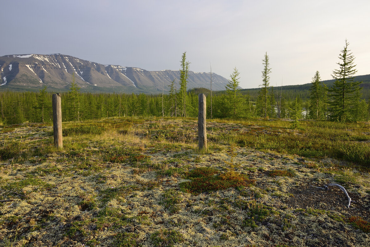 *** - Александр Хаецкий