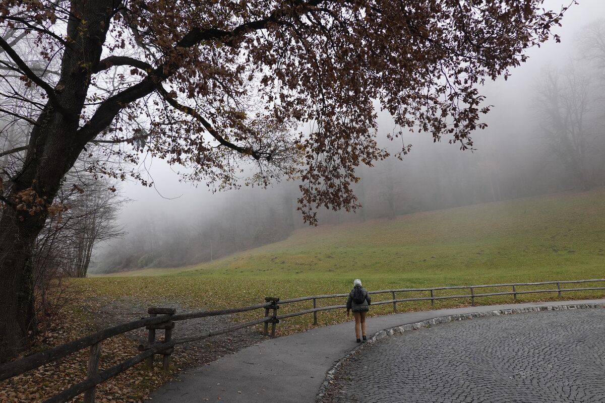 ...декабрьский туман... - Галина ...декабрьский туман... - Галина