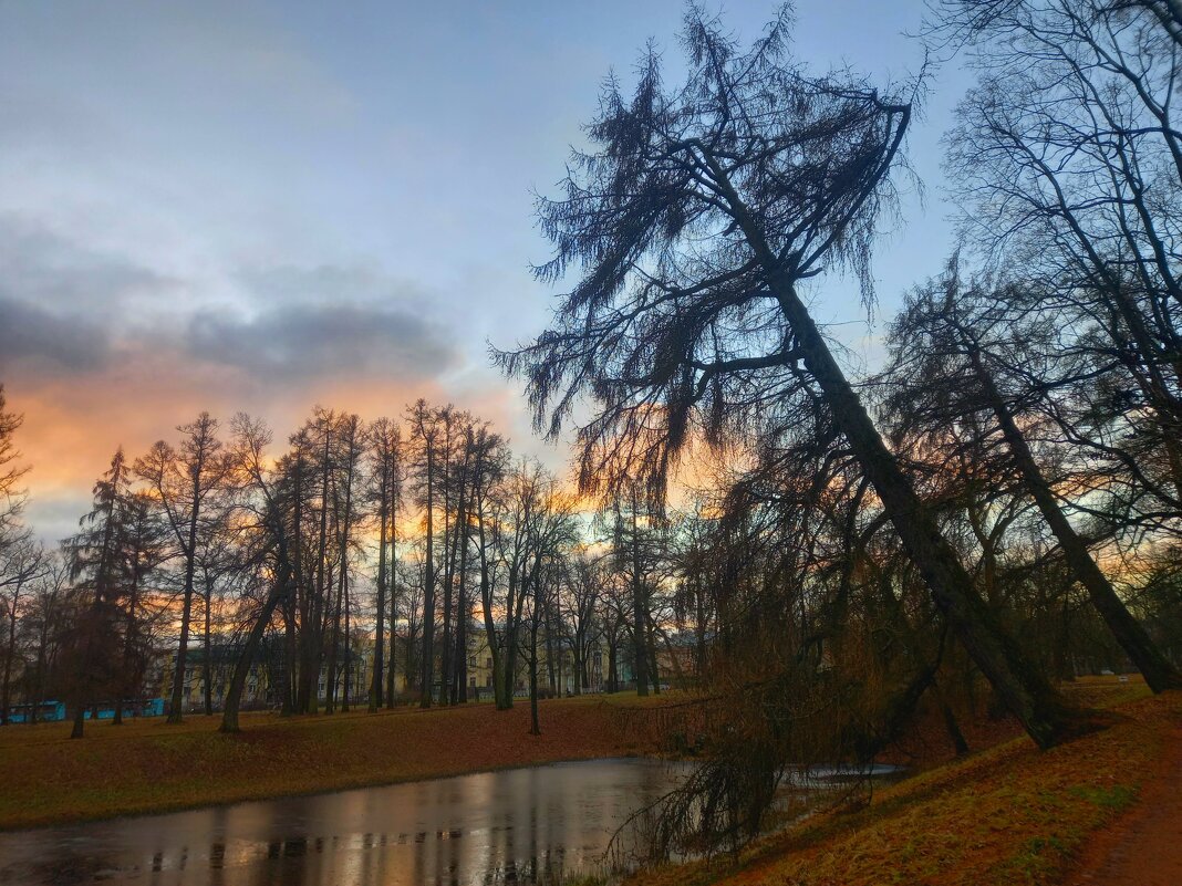 Рассвет - Сапсан 