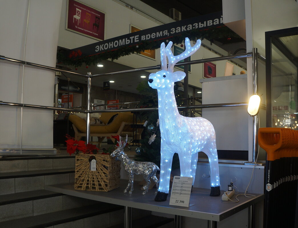 в Максидоме - zavitok *