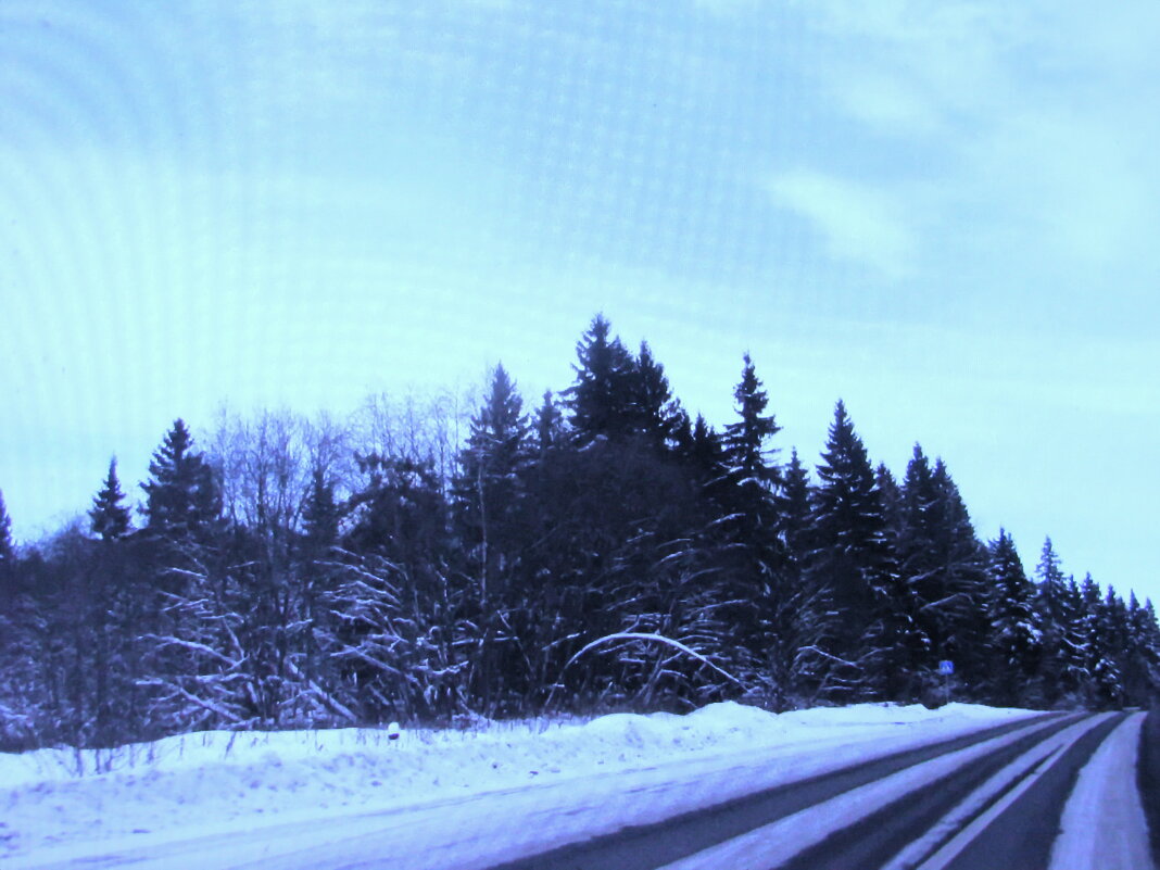 Зима - Людмила Смородинская