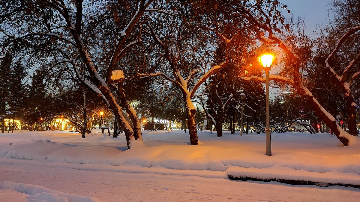 Театральный сквер - Татьяна Лютаева Театральный сквер - Татьяна Лютаева