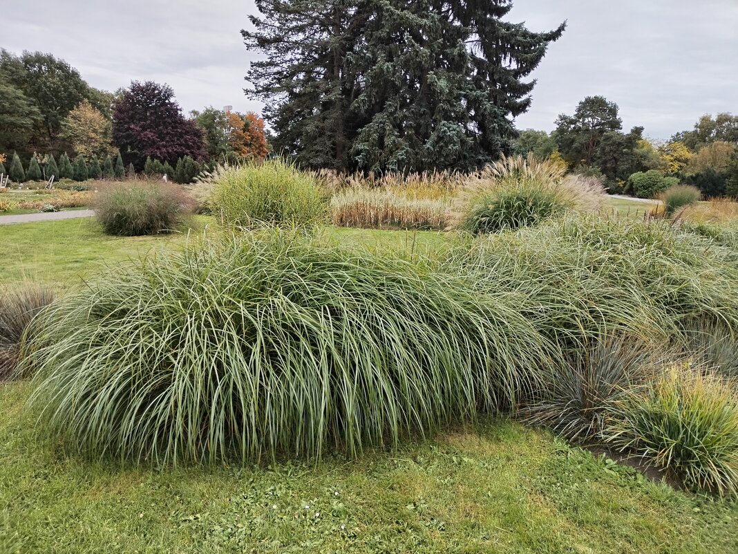 Зелёная трава - Валерий Пославский