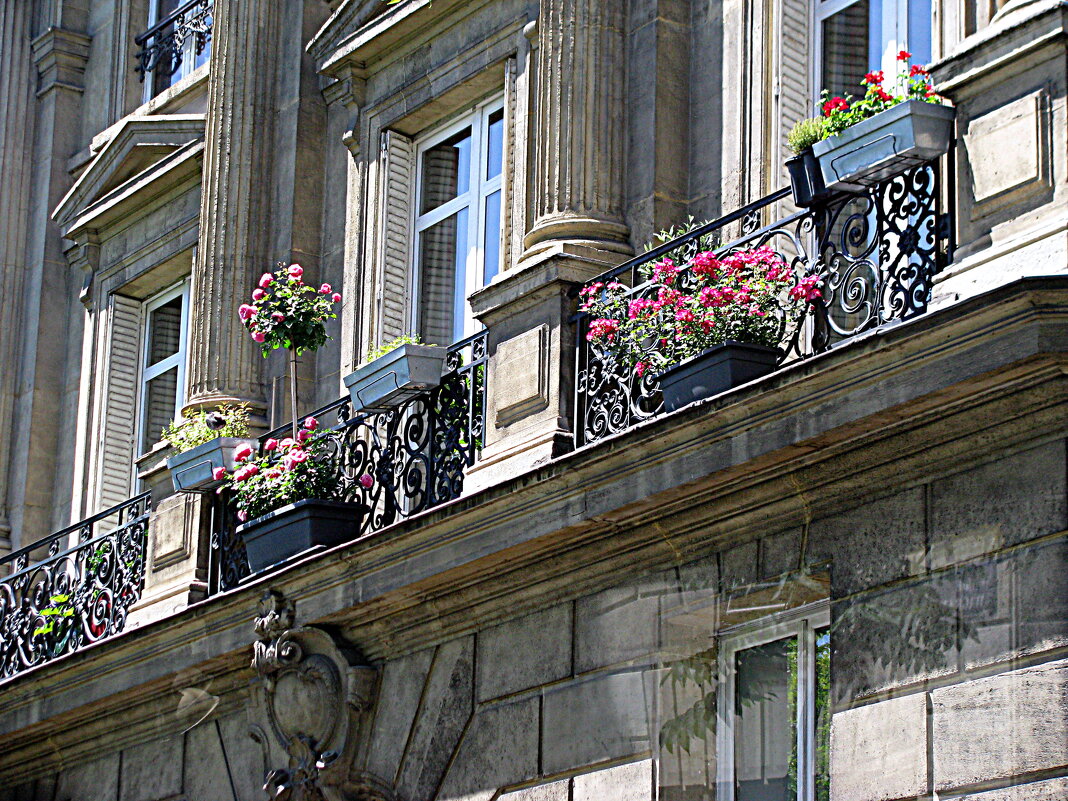 Париж с автобуса. - Владимир Драгунский