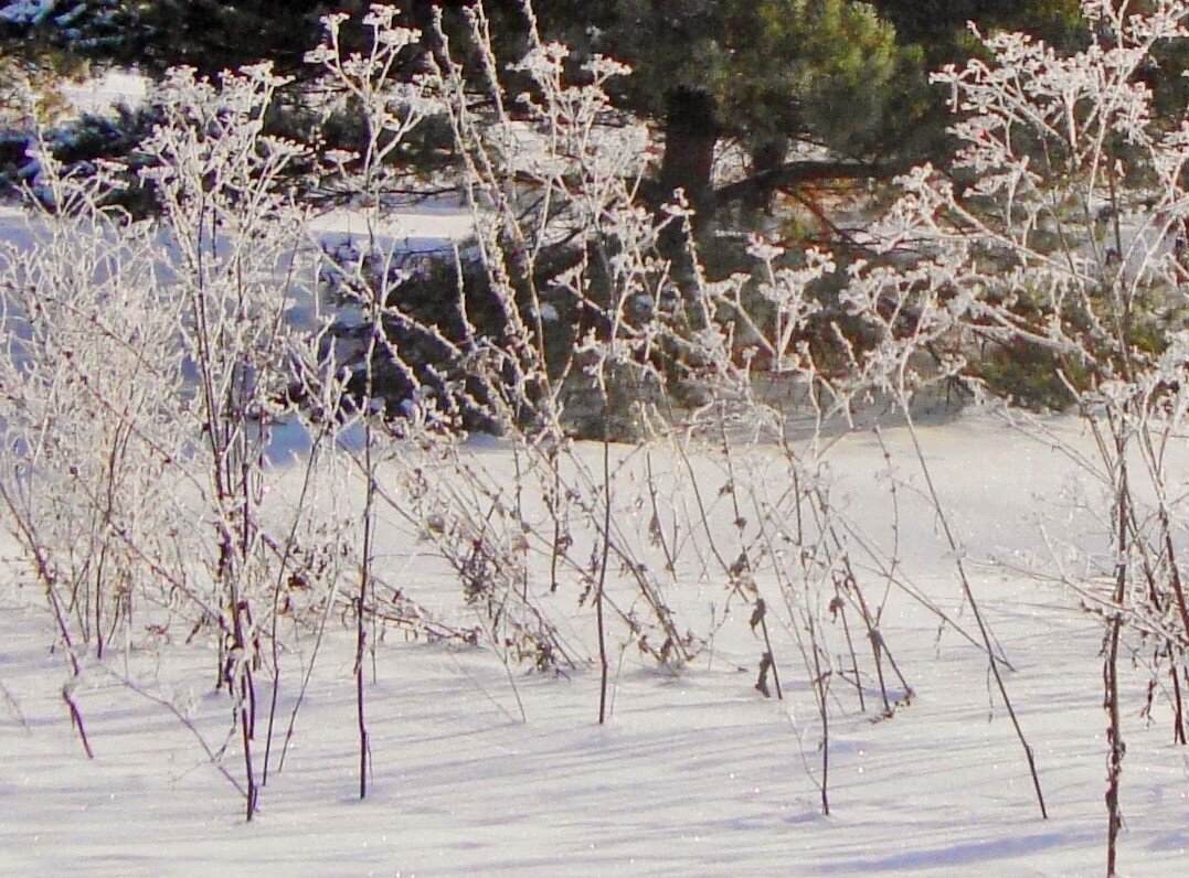 былинки кружева - Галина Флора