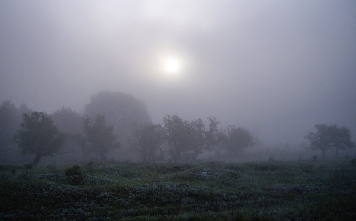 Ночь. - Александр. AVG100 ---