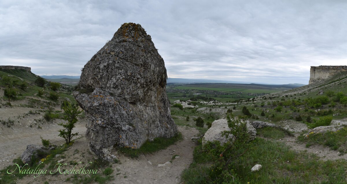Природа Крыма - Amazing Cosmea