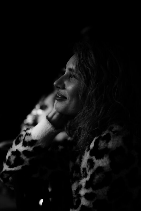 В сумраке зала. - Михаил Соколов