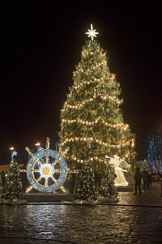 Кронштадт. Якорная площадь - Алексей Смирнов