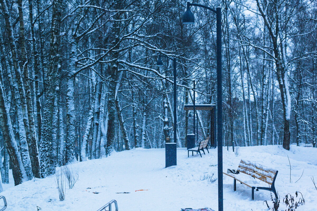 вечерний парк - Артём 