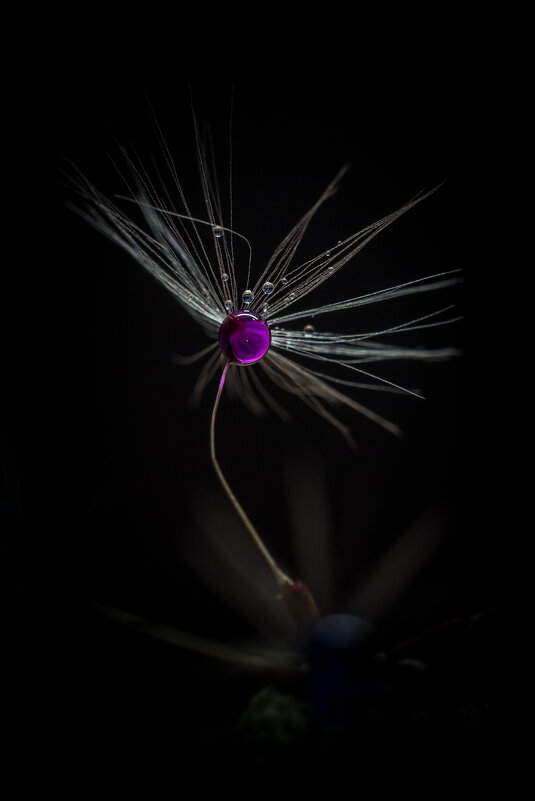 Lonely teardrops - Игорь Шевченко