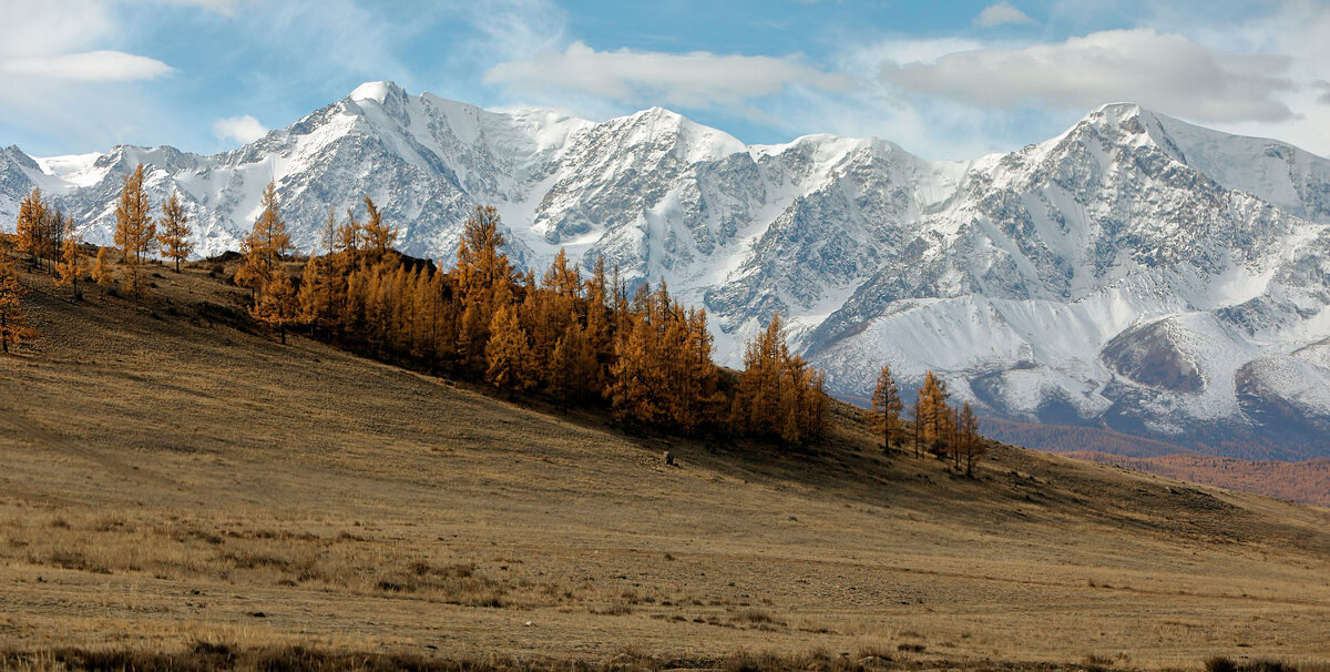 *** - владимир 
