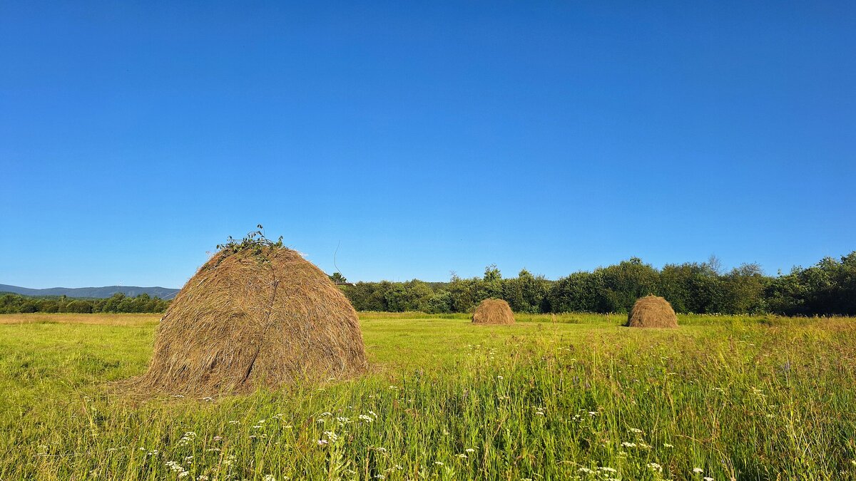 Нивы, покосы да ширь поднебесная - Hope Нивы, покосы да ширь поднебесная - Hope