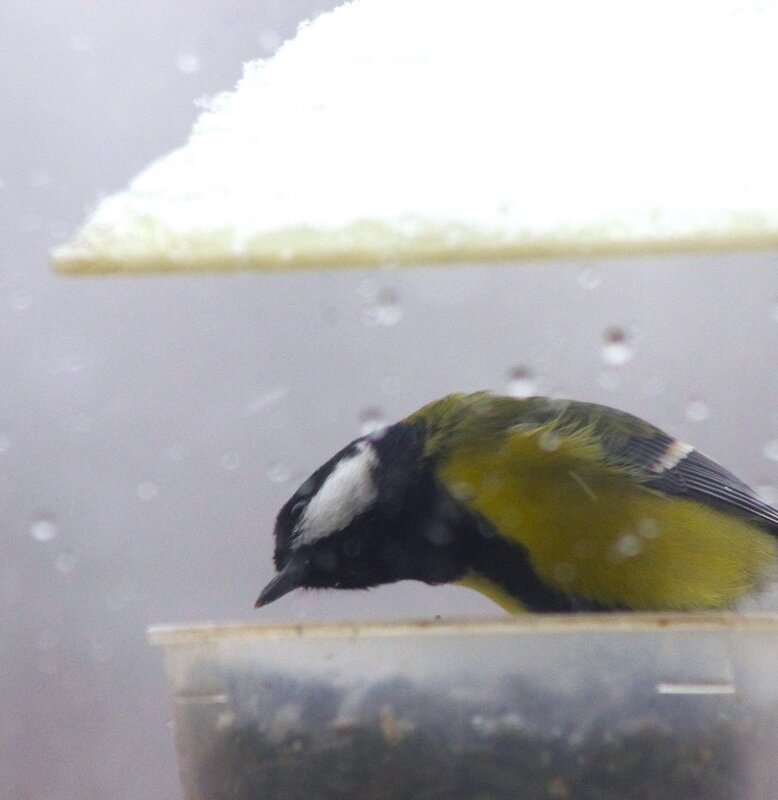 Хорошо под крыше ! :) - Юрий Куликов