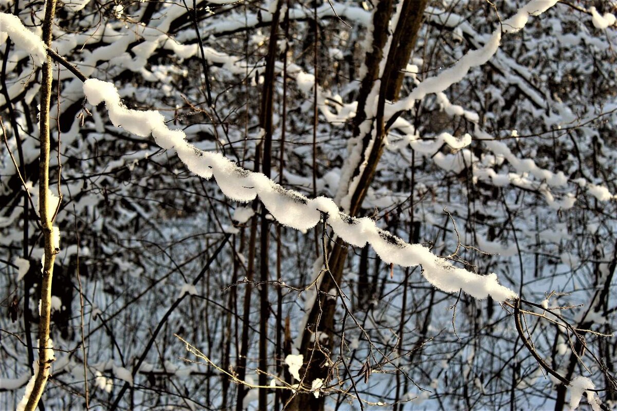 Причуды природы - Ольга Митрофанова