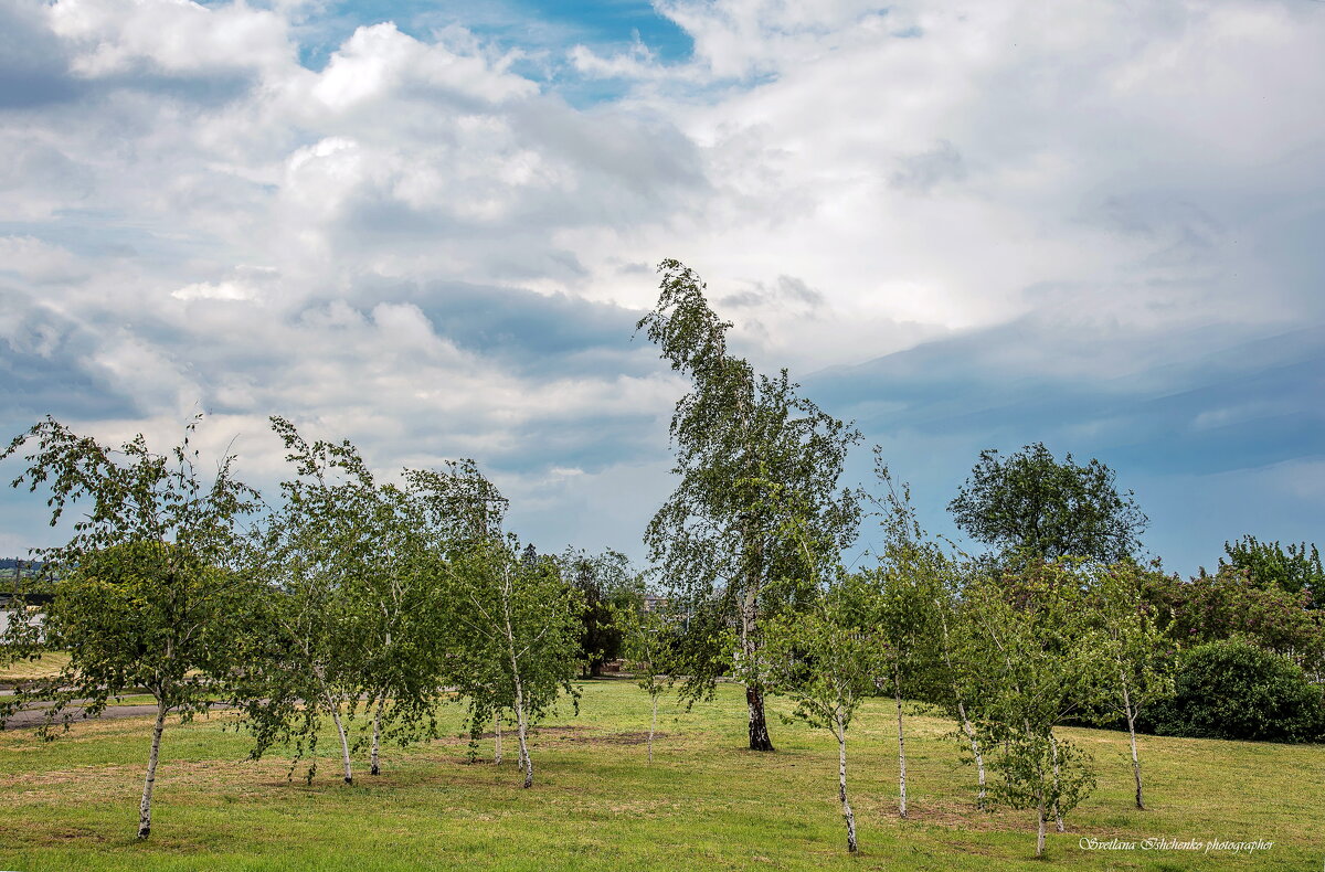 Облака над городом 3. - Светлана Ищенко Облака над городом 3. - Светлана Ищенко