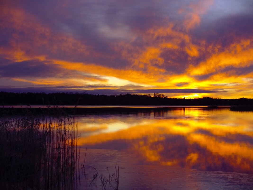 Космический вихрь 22 декабря - liudmila drake