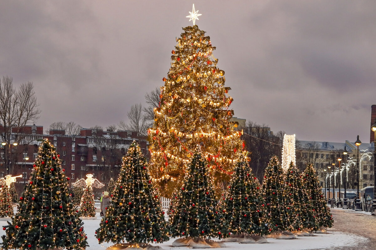 Ёлка в Кронштадте - skijumper Иванов