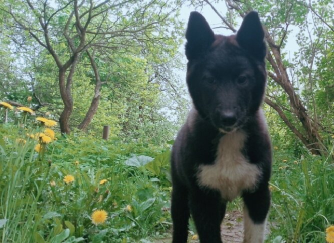 Что то задумал - Александр Вадимович Crew smail