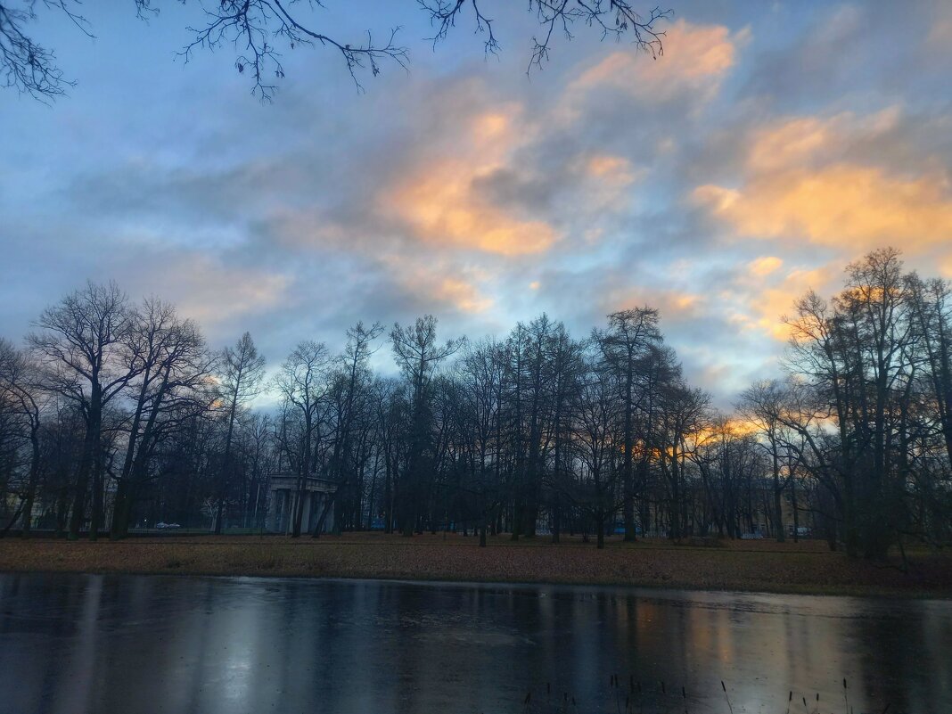 Рассвет - Сапсан 