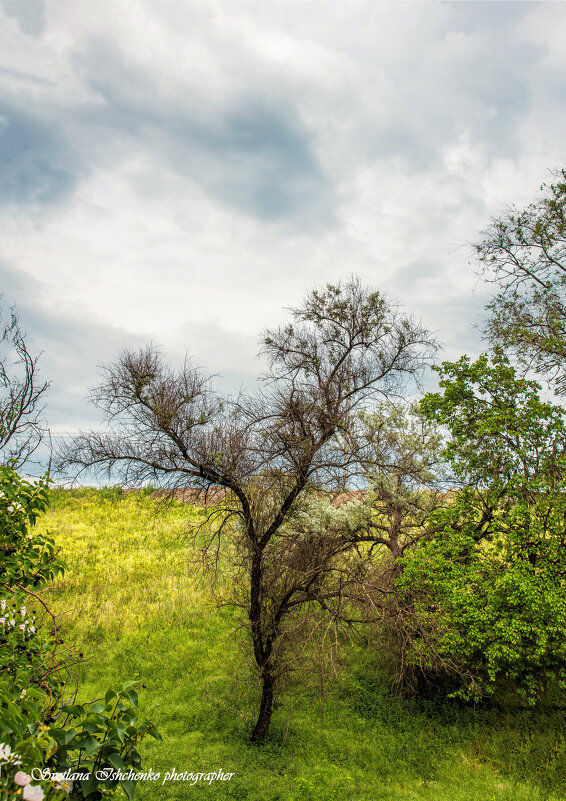 Облака над городом. - Светлана Ищенко