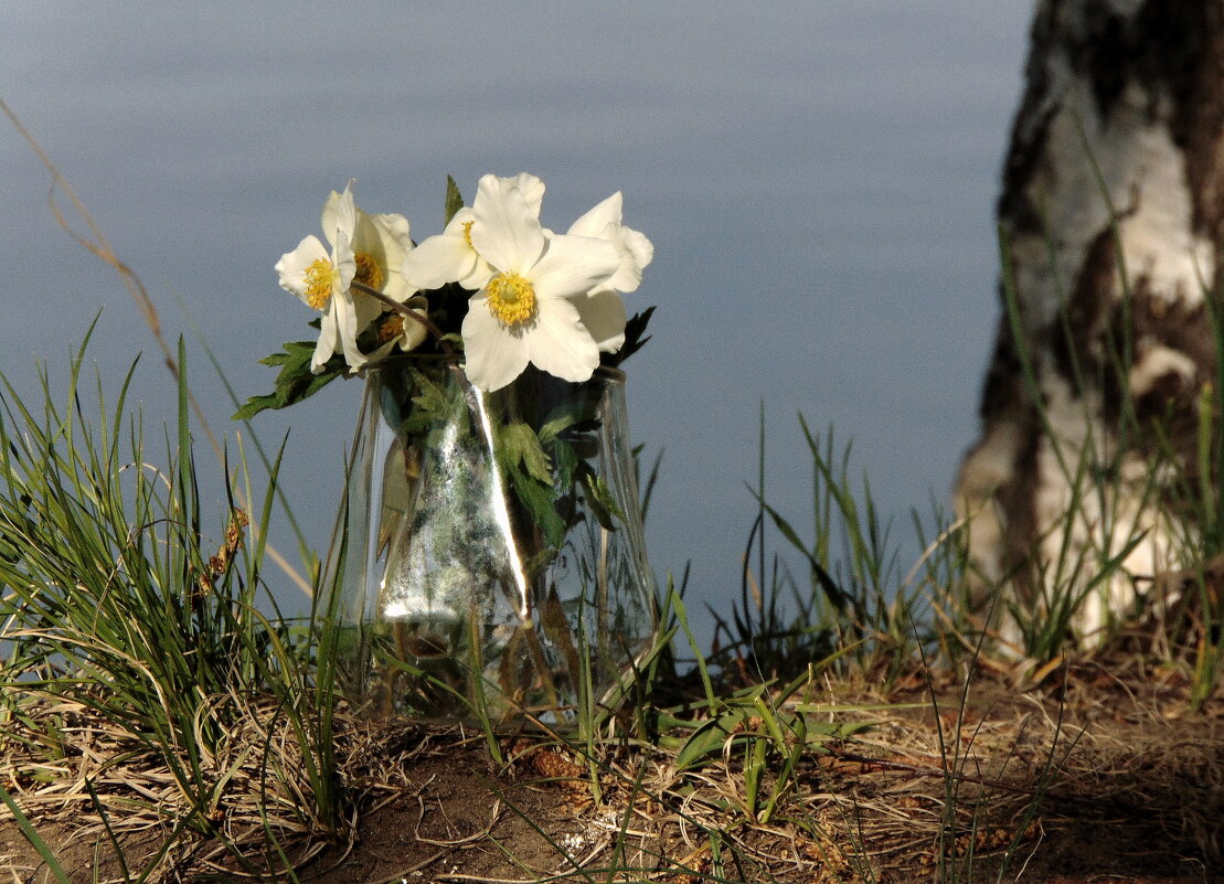 У самой воды. - nadyasilyuk Вознюк У самой воды. - nadyasilyuk Вознюк