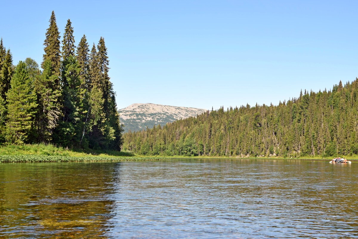 Впереди Тима Из. - ВикТор Быстров