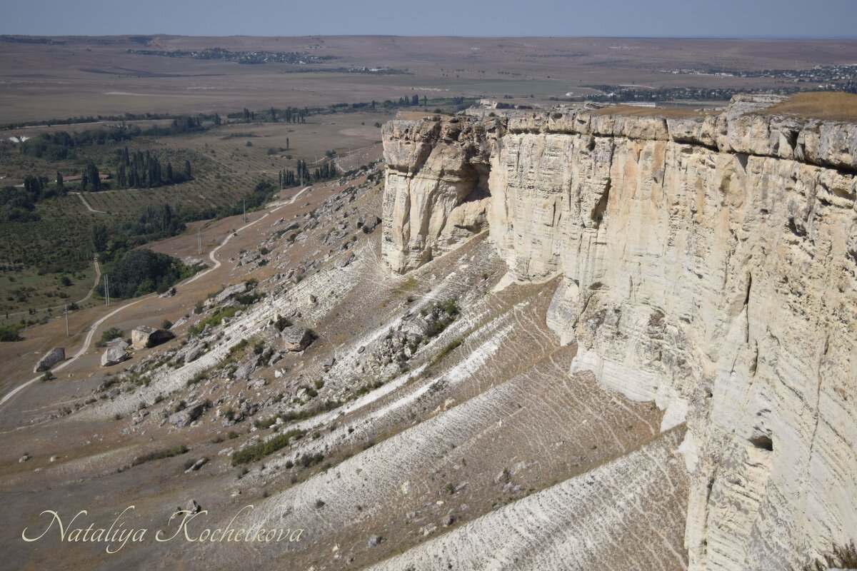 Природа Крыма - Amazing Cosmea