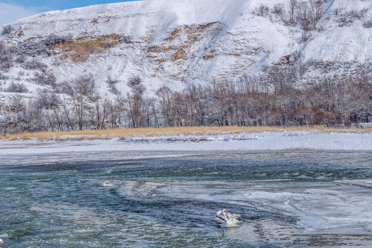 Река Кубань - Игорь Сикорский Река Кубань - Игорь Сикорский