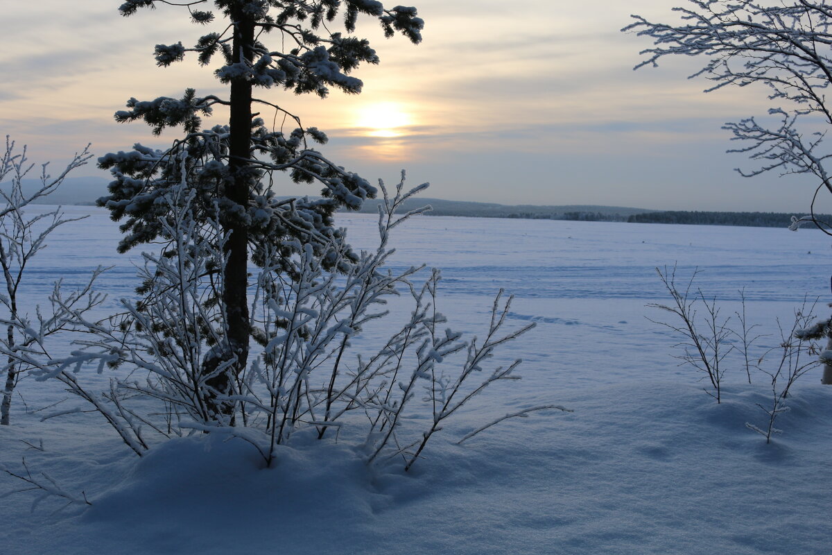 Зимнее - Ольга 