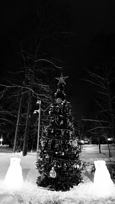 «И чаще хочется гулять не за столом, а в старом, тихом парке…» - Арина Невская