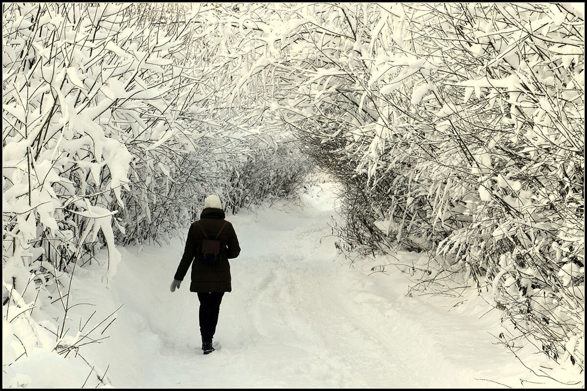 Ностальгия - Aleksandr Gal