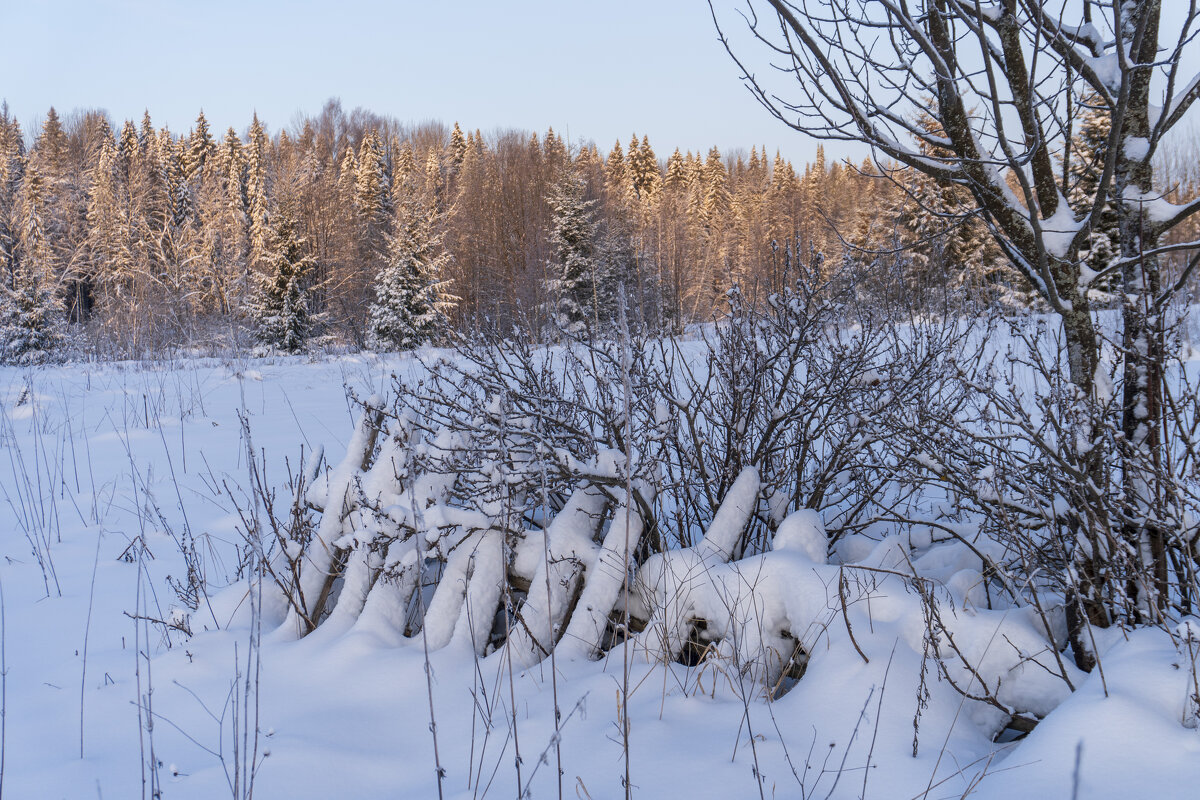 Зимний день - Сергей Ц Зимний день - Сергей Ц