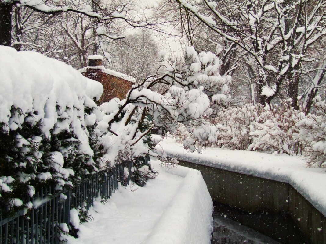 А снег идёт,а снег идёт.. - Aida10 