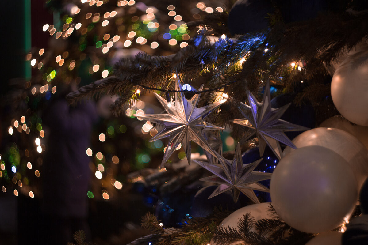 Москва предновогодняя - Игорь Шевченко