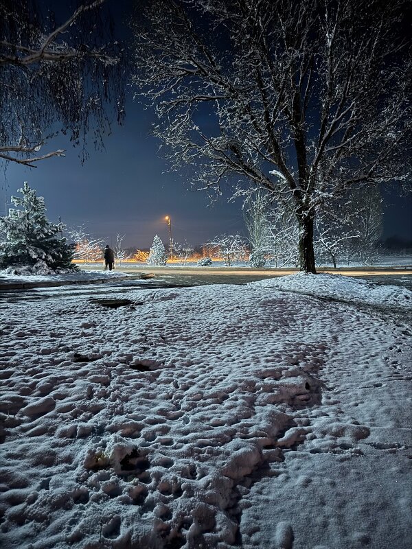 *** - Яна Горбунова