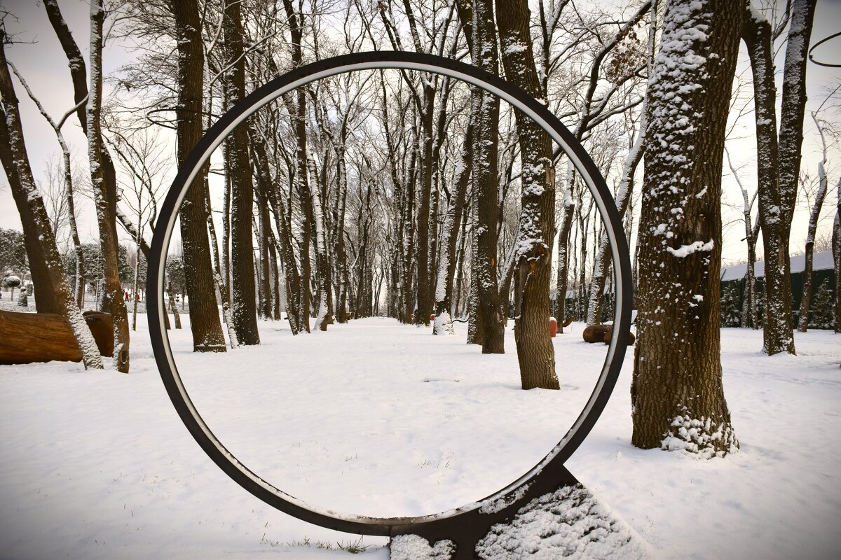 Лупа. - Юрий Полторыхин.