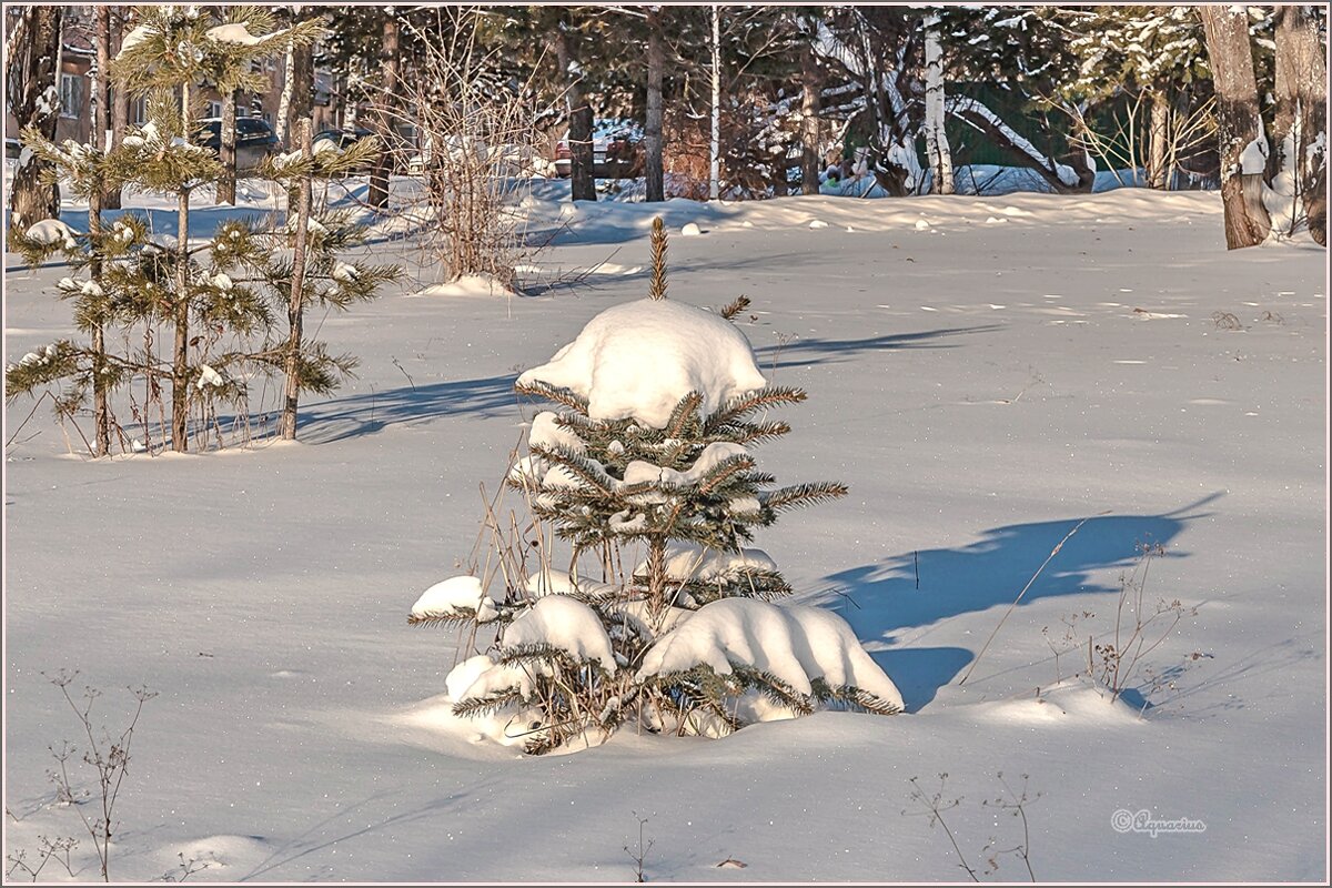 Морозный денёк - Aquarius - Сергей