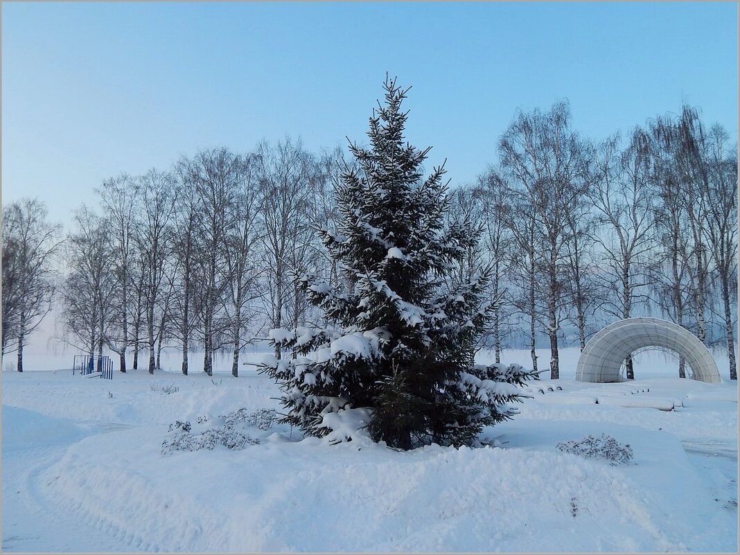 Ёлочка . - Валентина Надсон