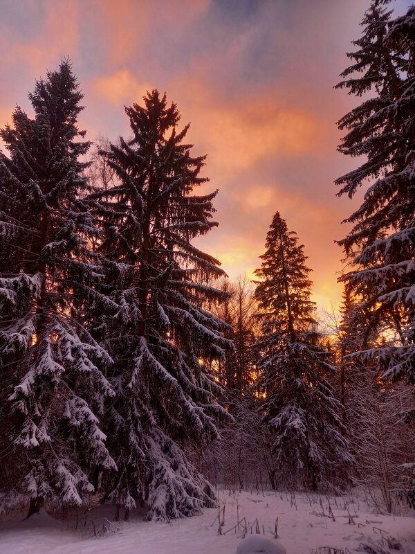 Закат - Сапсан 