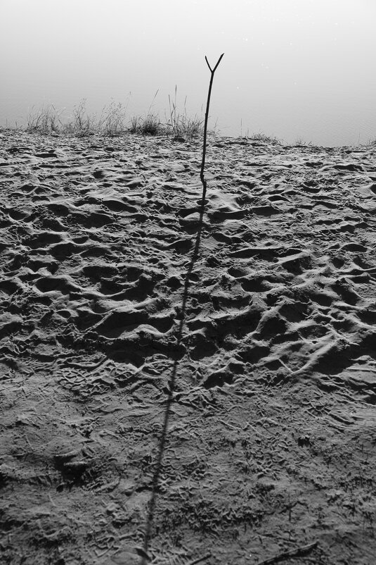 Фотография - Денис Безногов