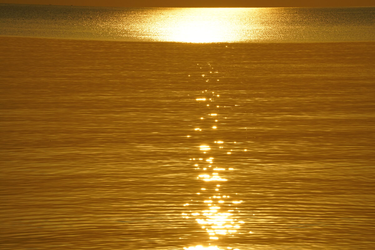 *** - Иван Литвинов