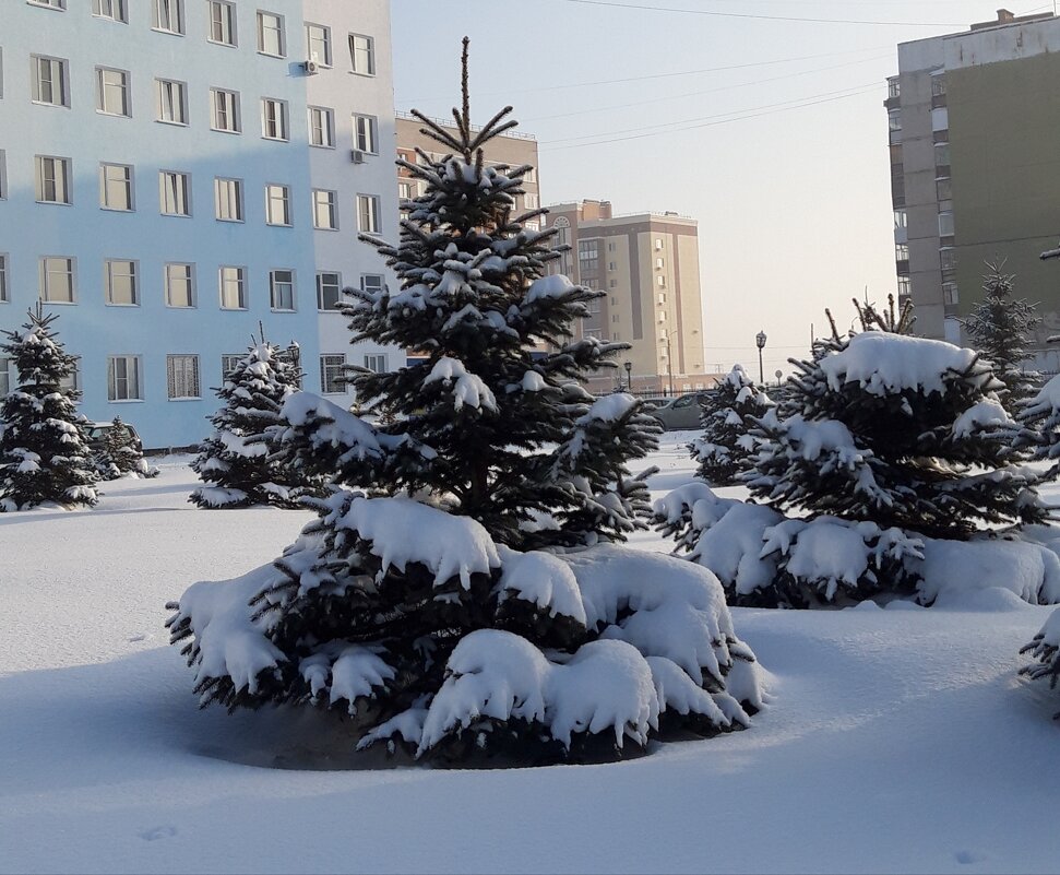 Мой город - Венера Чуйкова