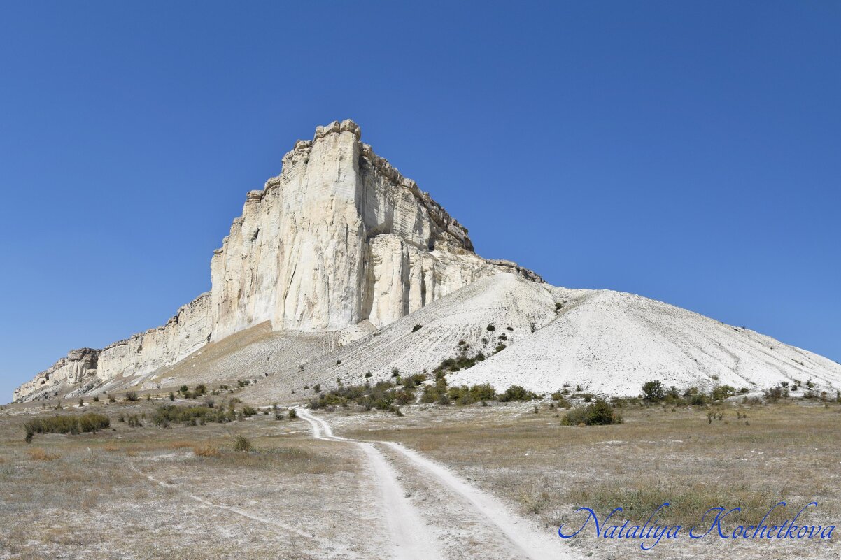 Природа Крыма - Amazing Cosmea