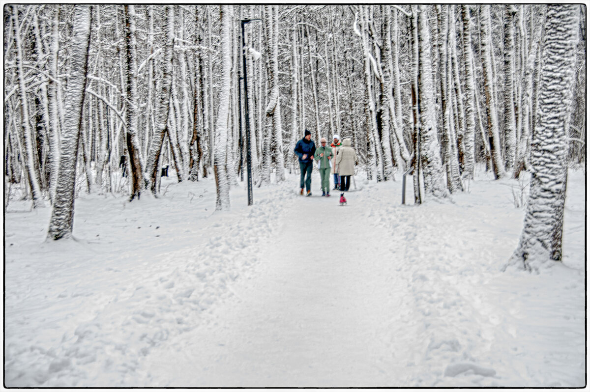 После снегопада.. - Юрий Яньков